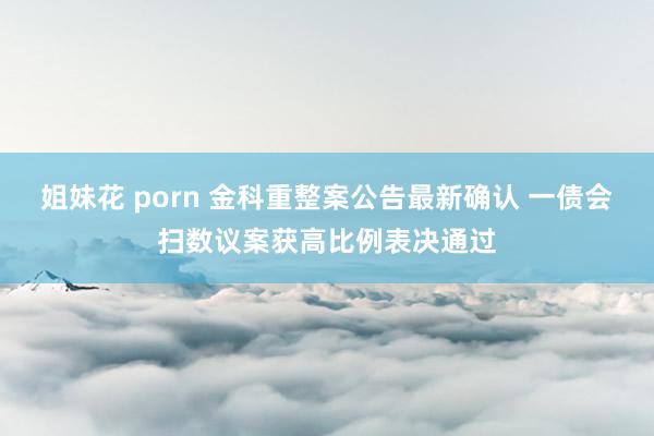 姐妹花 porn 金科重整案公告最新确认 一债会扫数议案获高比例表决通过