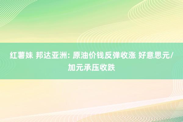 红薯妹 邦达亚洲: 原油价钱反弹收涨 好意思元/加元承压收跌