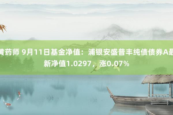 黄药师 9月11日基金净值：浦银安盛普丰纯债债券A最新净值1.0297，涨0.07%