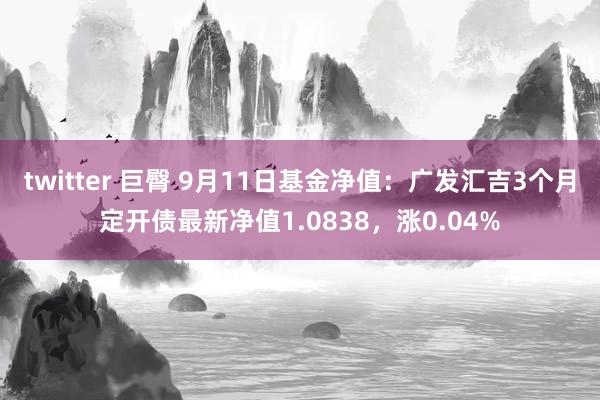 twitter 巨臀 9月11日基金净值：广发汇吉3个月定开债最新净值1.0838，涨0.04%