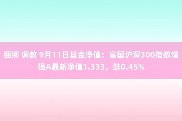 捆绑 调教 9月11日基金净值：富国沪深300指数增强A最新净值1.333，跌0.45%