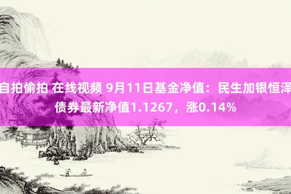 自拍偷拍 在线视频 9月11日基金净值：民生加银恒泽债券最新净值1.1267，涨0.14%