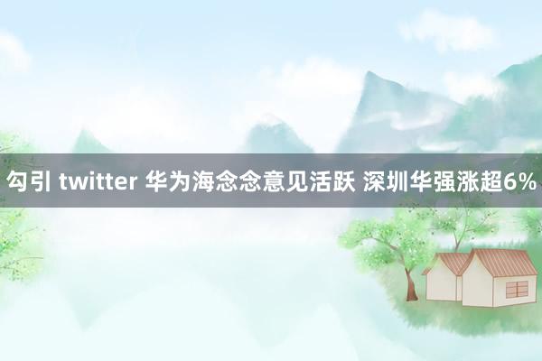 勾引 twitter 华为海念念意见活跃 深圳华强涨超6%