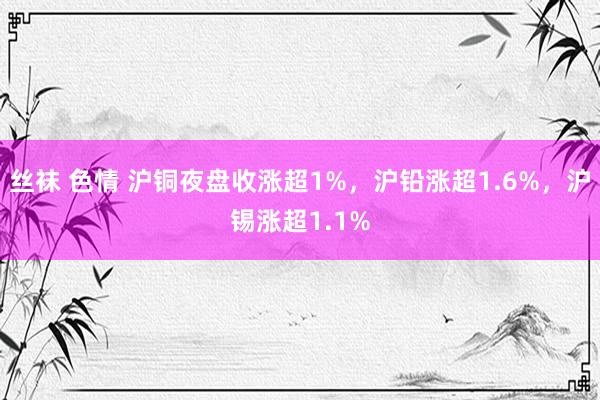 丝袜 色情 沪铜夜盘收涨超1%，沪铅涨超1.6%，沪锡涨超1.1%