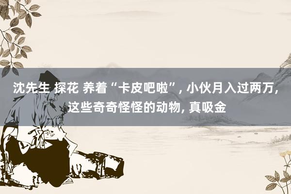 沈先生 探花 养着“卡皮吧啦”， 小伙月入过两万， 这些奇奇怪怪的动物， 真吸金