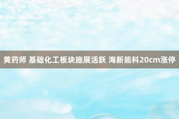 黄药师 基础化工板块施展活跃 海新能科20cm涨停