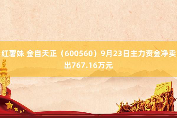 红薯妹 金自天正（600560）9月23日主力资金净卖出767.16万元