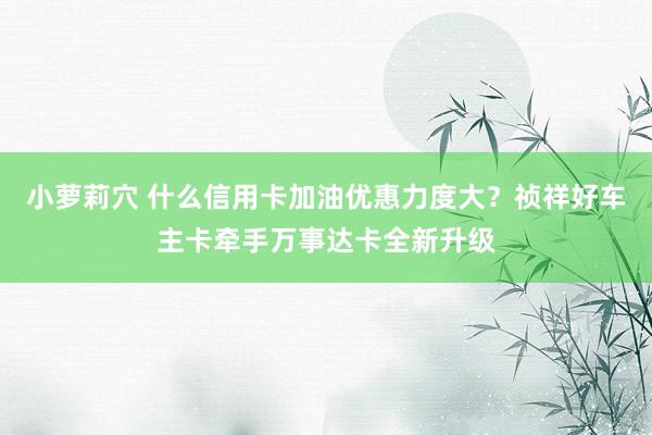 小萝莉穴 什么信用卡加油优惠力度大？祯祥好车主卡牵手万事达卡全新升级