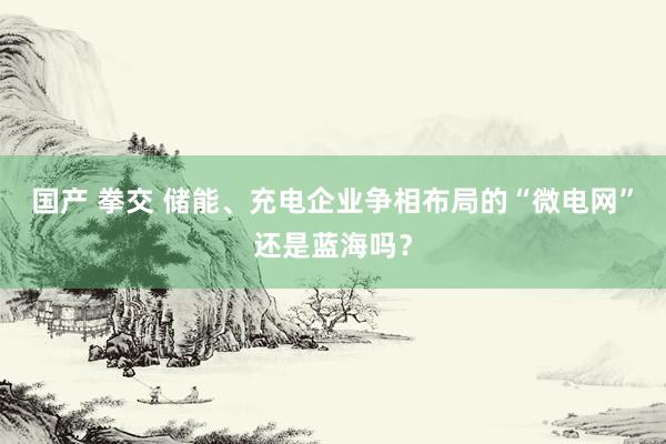 国产 拳交 储能、充电企业争相布局的“微电网”还是蓝海吗？