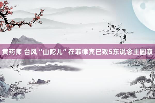 黄药师 台风“山陀儿”在菲律宾已致5东说念主圆寂