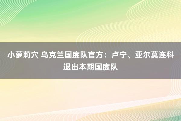 小萝莉穴 乌克兰国度队官方：卢宁、亚尔莫连科退出本期国度队