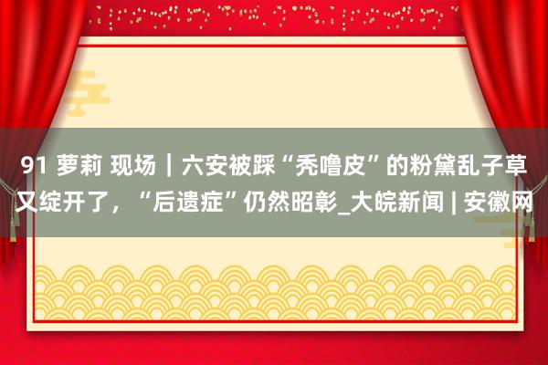 91 萝莉 ﻿现场｜六安被踩“秃噜皮”的粉黛乱子草又绽开了，“后遗症”仍然昭彰_大皖新闻 | 安徽网