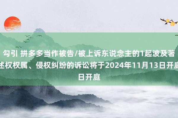 勾引 拼多多当作被告/被上诉东说念主的1起波及著述权权属、侵权纠纷的诉讼将于2024年11月13日开庭