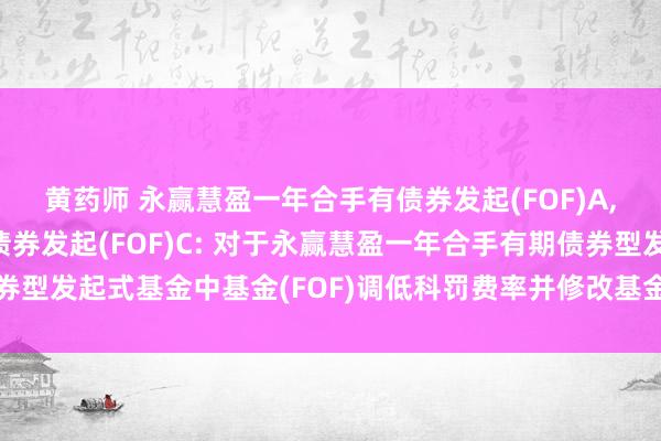 黄药师 永赢慧盈一年合手有债券发起(FOF)A，永赢慧盈一年合手有债券发起(FOF)C: 对于永赢慧盈一年合手有期债券型发起式基金中基金(FOF)调低科罚费率并修改基金契约等法律文献的公告