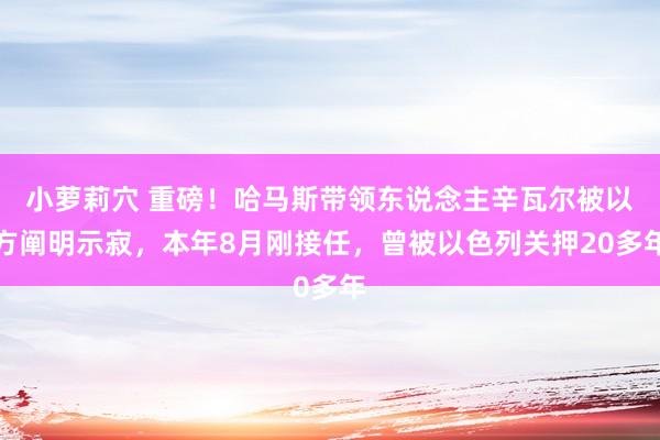 小萝莉穴 重磅！哈马斯带领东说念主辛瓦尔被以方阐明示寂，本年8月刚接任，曾被以色列关押20多年