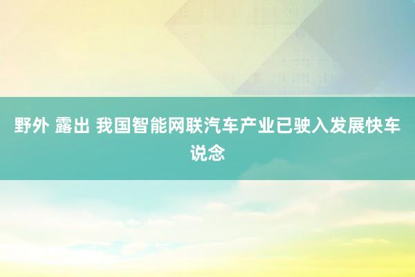 野外 露出 我国智能网联汽车产业已驶入发展快车说念