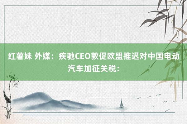 红薯妹 外媒：疾驰CEO敦促欧盟推迟对中国电动汽车加征关税：