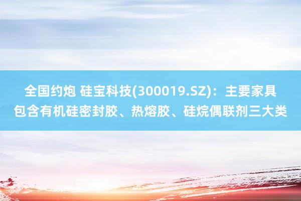 全国约炮 硅宝科技(300019.SZ)：主要家具包含有机硅密封胶、热熔胶、硅烷偶联剂三大类