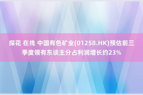 探花 在线 中国有色矿业(01258.HK)预估前三季度领有东谈主分占利润增长约23%