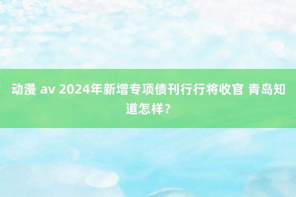 动漫 av 2024年新增专项债刊行行将收官 青岛知道怎样？