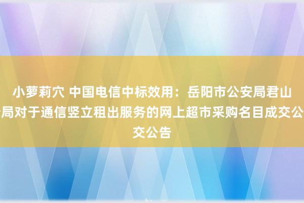 小萝莉穴 中国电信中标效用：岳阳市公安局君山分局对于通信竖立租出服务的网上超市采购名目成交公告