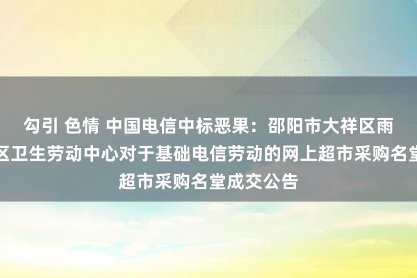 勾引 色情 中国电信中标恶果：邵阳市大祥区雨溪街谈社区卫生劳动中心对于基础电信劳动的网上超市采购名堂成交公告