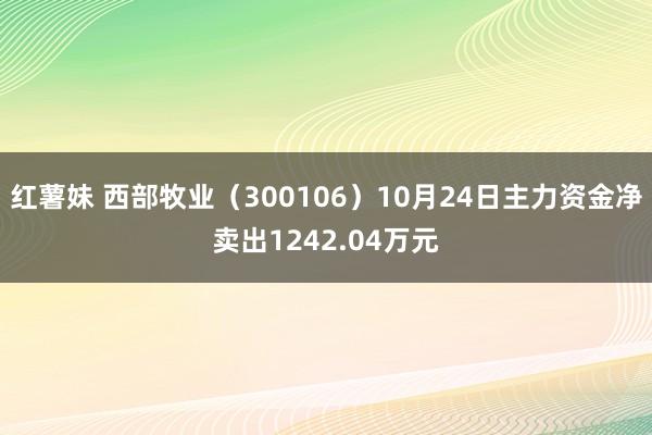 红薯妹 西部牧业（300106）10月24日主力资金净卖出1242.04万元