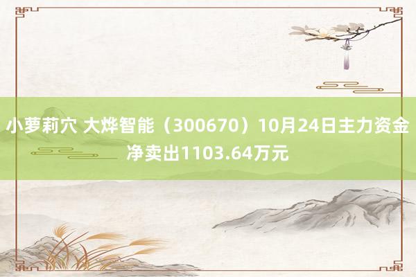 小萝莉穴 大烨智能（300670）10月24日主力资金净卖出1103.64万元