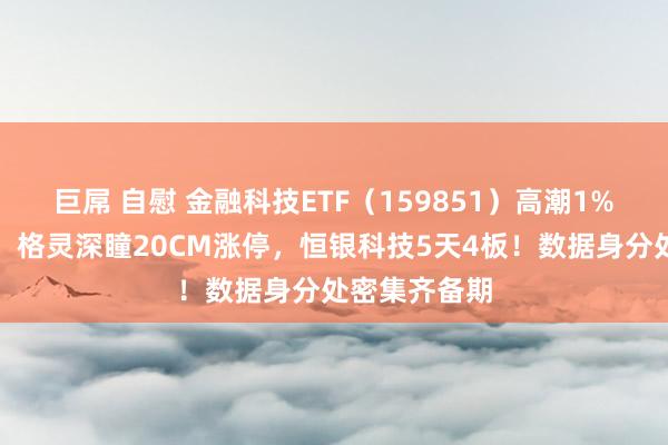 巨屌 自慰 金融科技ETF（159851）高潮1%冲击三连阳，格灵深瞳20CM涨停，恒银科技5天4板！数据身分处密集齐备期