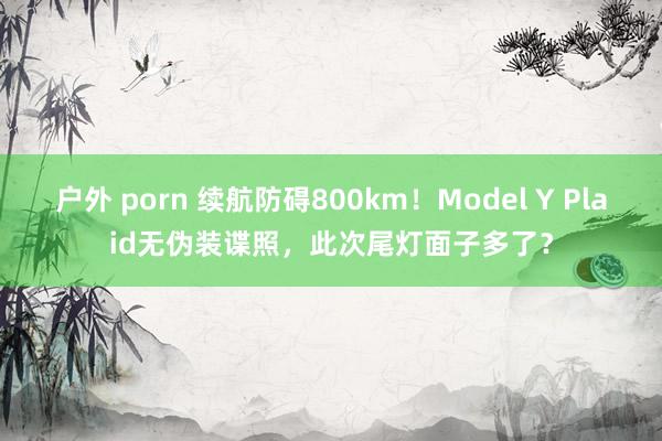 户外 porn 续航防碍800km！Model Y Plaid无伪装谍照，此次尾灯面子多了？