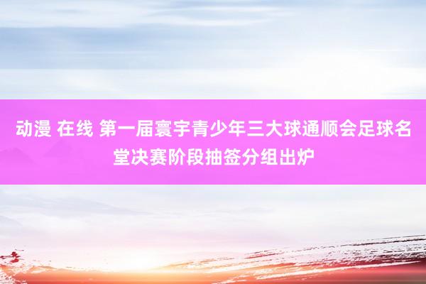 动漫 在线 第一届寰宇青少年三大球通顺会足球名堂决赛阶段抽签分组出炉