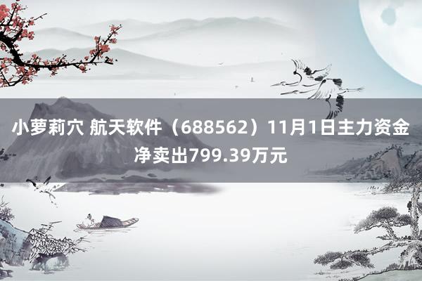 小萝莉穴 航天软件（688562）11月1日主力资金净卖出799.39万元