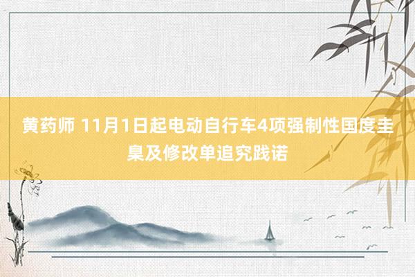 黄药师 11月1日起电动自行车4项强制性国度圭臬及修改单追究践诺