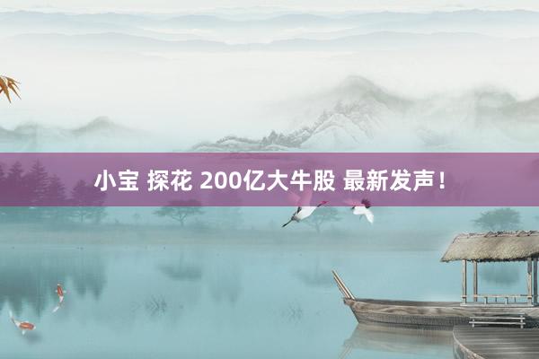 小宝 探花 200亿大牛股 最新发声！