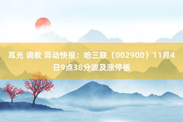 耳光 调教 异动快报：哈三联（002900）11月4日9点38分波及涨停板