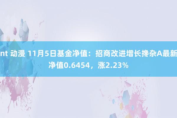 nt 动漫 11月5日基金净值：招商改进增长搀杂A最新净值0.6454，涨2.23%