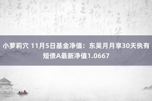 小萝莉穴 11月5日基金净值：东吴月月享30天执有短债A最新净值1.0667