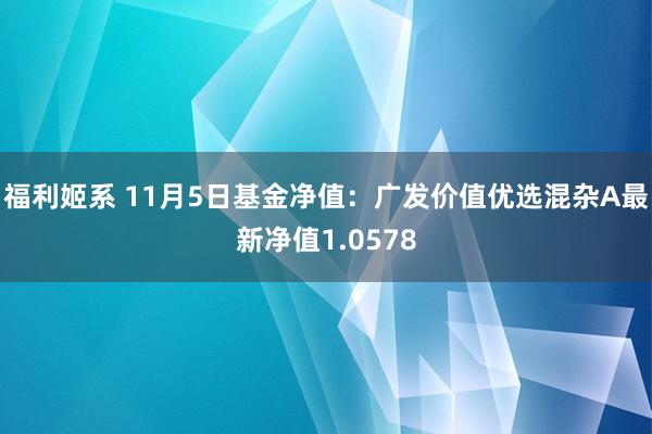 福利姬系 11月5日基金净值：广发价值优选混杂A最新净值1.0578