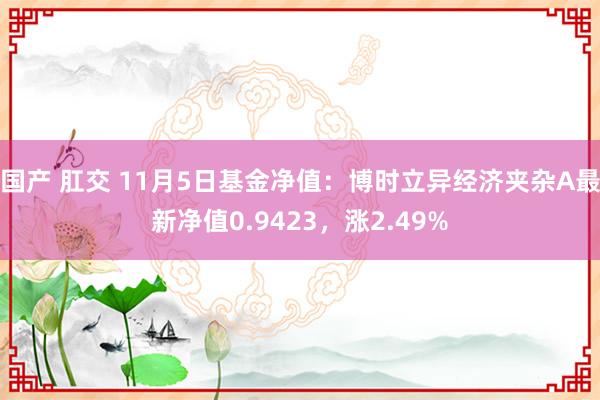 国产 肛交 11月5日基金净值：博时立异经济夹杂A最新净值0.9423，涨2.49%