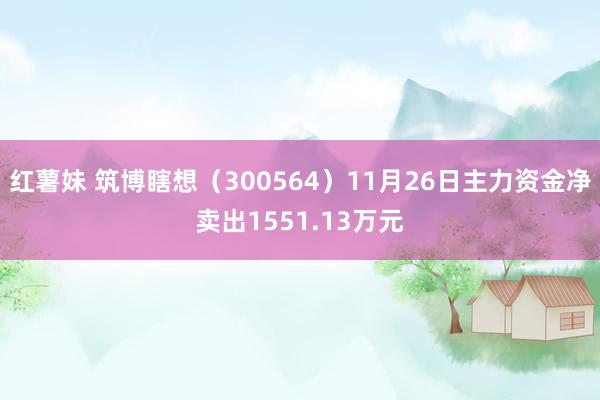 红薯妹 筑博瞎想（300564）11月26日主力资金净卖出1551.13万元