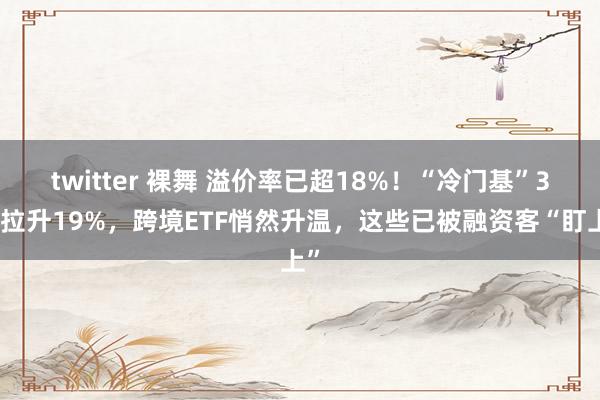 twitter 裸舞 溢价率已超18%！“冷门基”3天拉升19%，跨境ETF悄然升温，这些已被融资客“盯上”