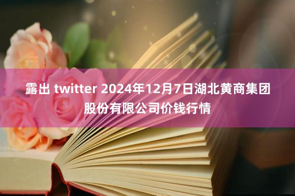 露出 twitter 2024年12月7日湖北黄商集团股份有限公司价钱行情