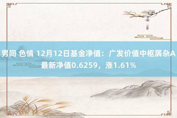 男同 色情 12月12日基金净值：广发价值中枢羼杂A最新净值0.6259，涨1.61%