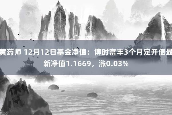 黄药师 12月12日基金净值：博时富丰3个月定开债最新净值1.1669，涨0.03%