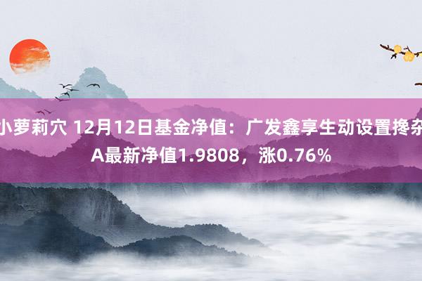 小萝莉穴 12月12日基金净值：广发鑫享生动设置搀杂A最新净值1.9808，涨0.76%