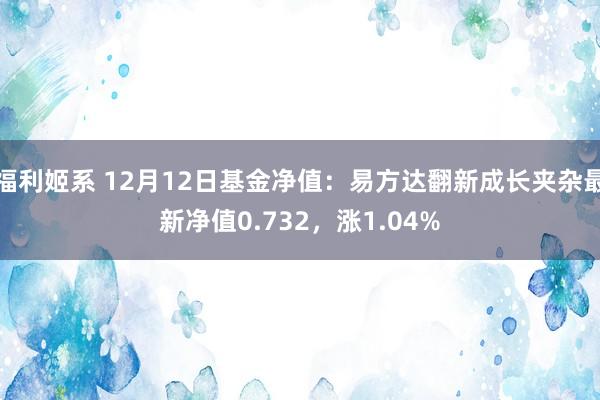 福利姬系 12月12日基金净值：易方达翻新成长夹杂最新净值0.732，涨1.04%