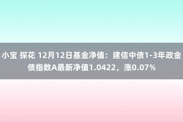 小宝 探花 12月12日基金净值：建信中债1-3年政金债指数A最新净值1.0422，涨0.07%