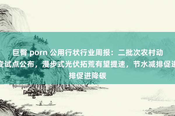 巨臀 porn 公用行状行业周报：二批次农村动力转变试点公布，漫步式光伏拓荒有望提速，节水减排促进降碳