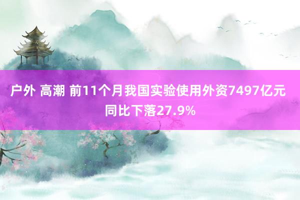 户外 高潮 前11个月我国实验使用外资7497亿元 同比下落27.9%