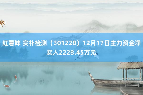 红薯妹 实朴检测（301228）12月17日主力资金净买入2228.45万元